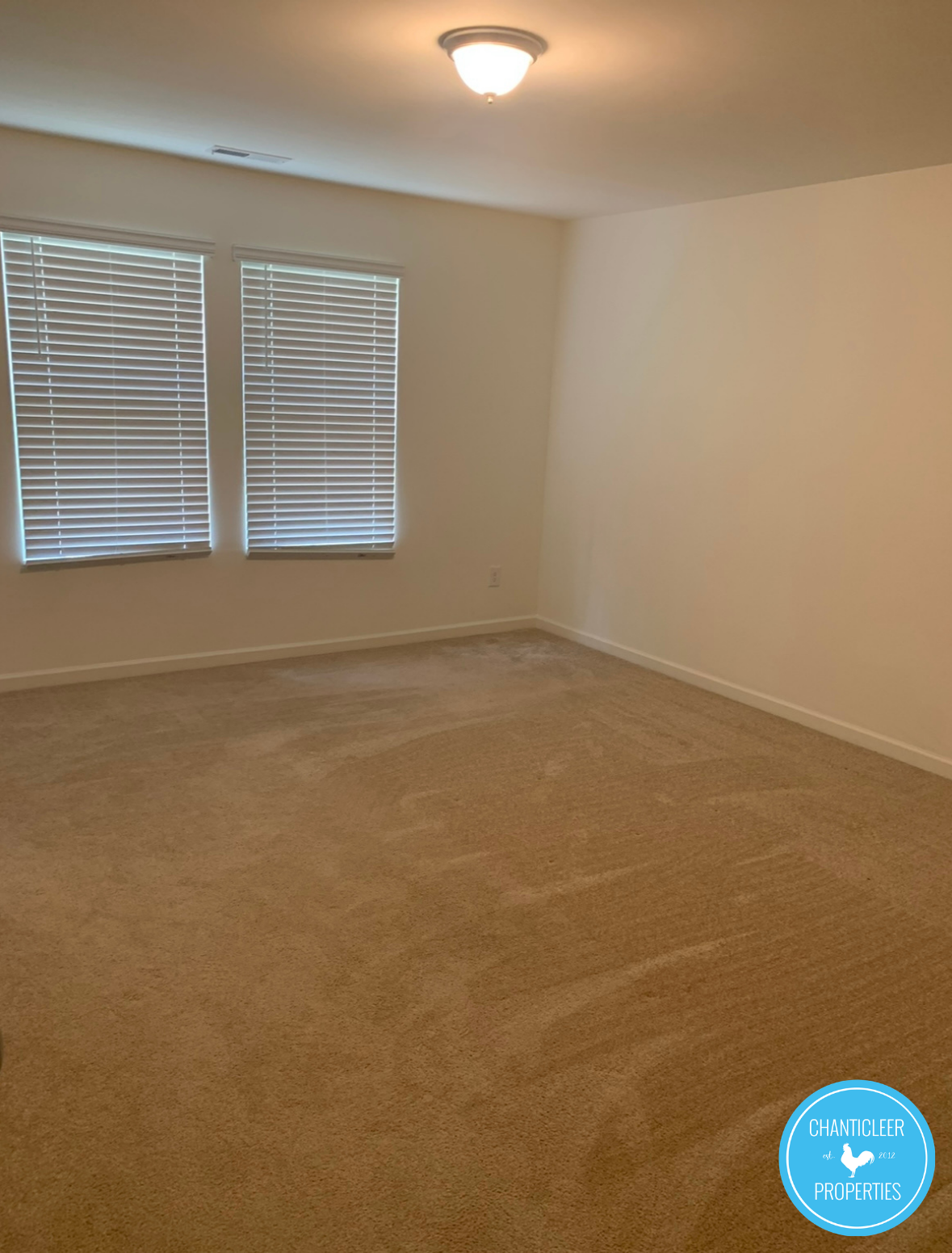 3512 Slippery Elm Drive photo 8