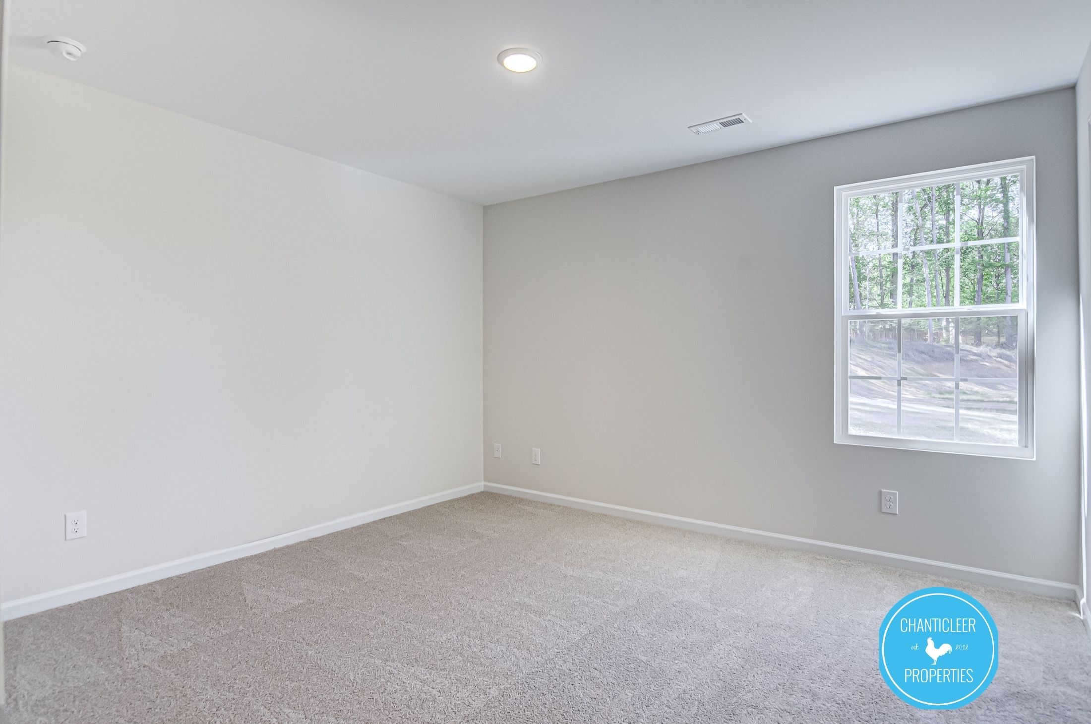 3161 Misty Ridge Dr photo 9